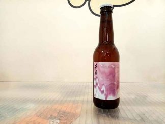 Cerveza To Øl - Dangerously close to stupid amount of Apricot