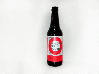 Cerveza Bidassoa Opinions and Troubles